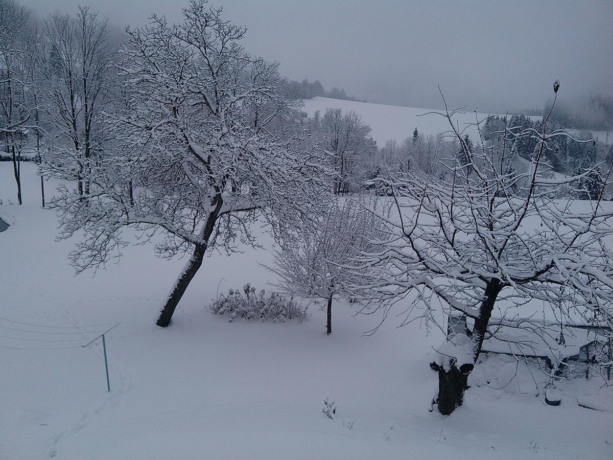 Apartmany Kuratko Benecko Bagian luar foto